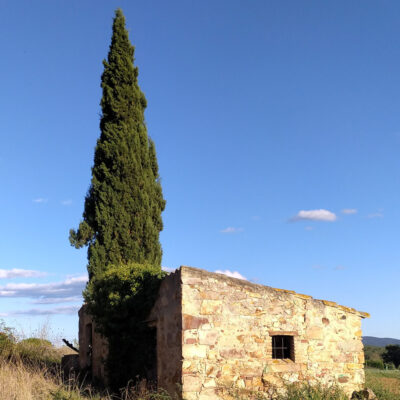 Maria Carme Vilaplana