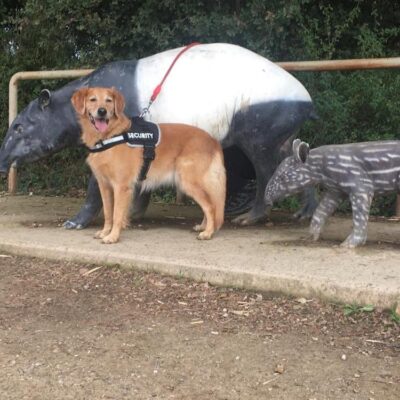 Nuria Quiñones Rodenas