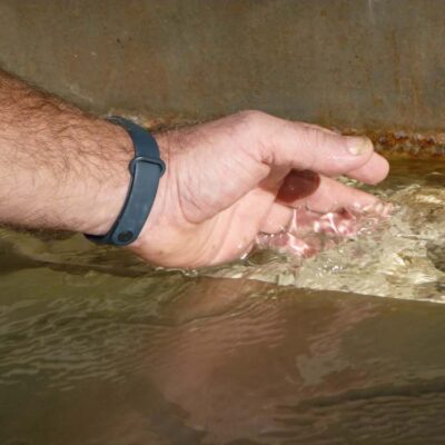 Arnau Garcia Alvarez