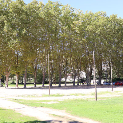 Anna Mateu - Complementària