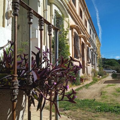 Encarni Santiago - Complementària