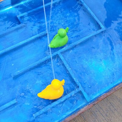 Narcís Mas de Xaxars Anglada