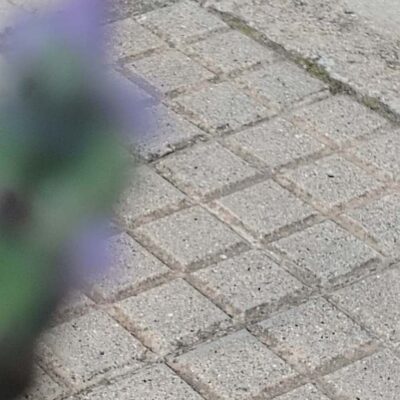 Patricia Simon Buceta