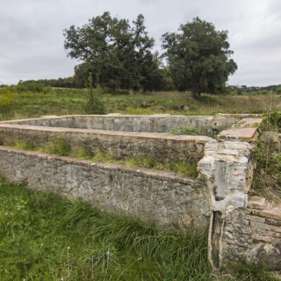 24_José Buendía Hernández_T2